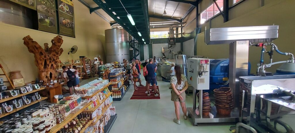 olive oil factory tours